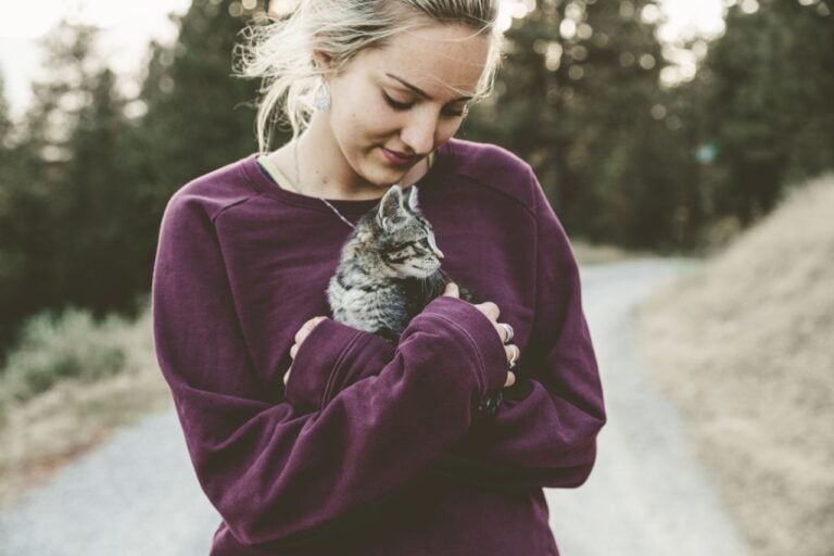 Tierheimsponsoring zeigt, was Tiere wirklich für die menschliche Gesundheit leisten
