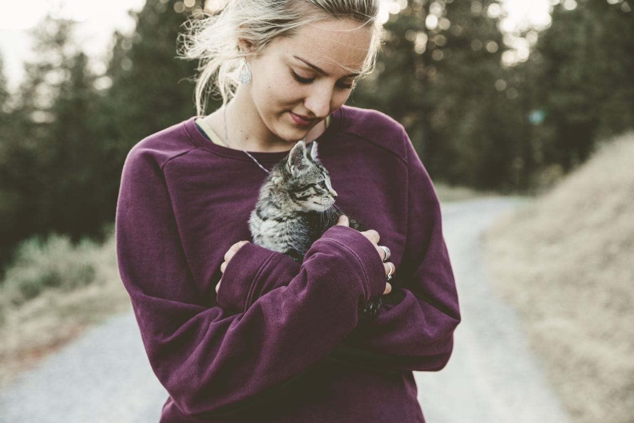 Tierheimsponsoring zeigt, was Tiere wirklich für die menschliche Gesundheit leisten